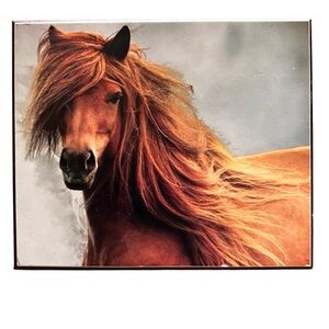 Cedar Wooden Keepsake Jewelry Box - “Windblown Mane" horse art design top.